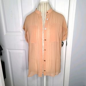 Cabi Nude Sheer blouse